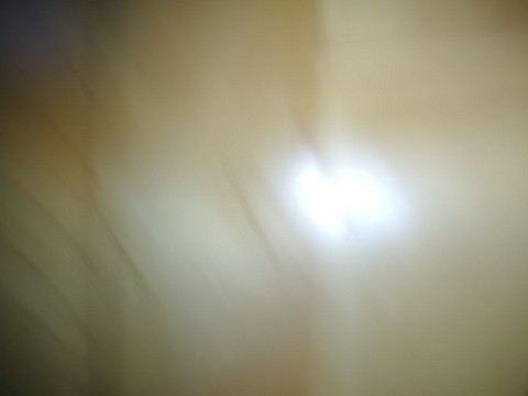 IMG_20200329_142244.jpg