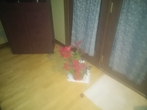 IMG_20200406_000410.jpg