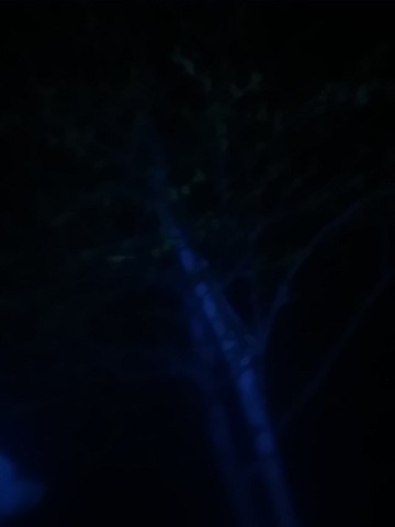 IMG_20200410_050833.jpg