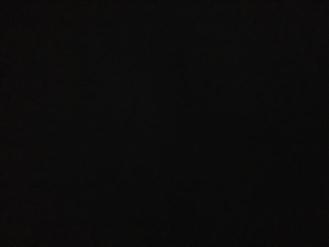 IMG_20200415_062926.jpg
