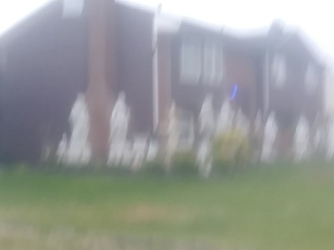 IMG_20200415_065447.jpg