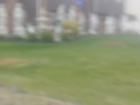 IMG_20200415_065450.jpg