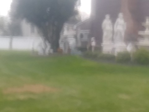 IMG_20200415_065500.jpg