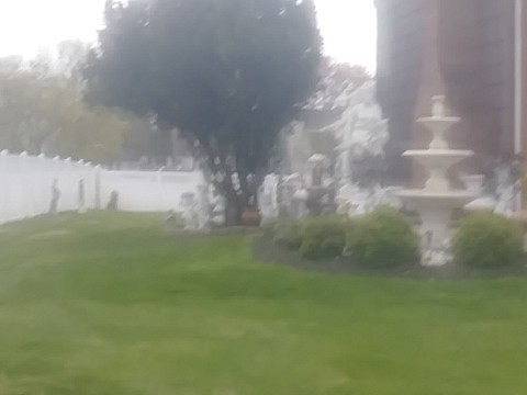 IMG_20200415_065522.jpg