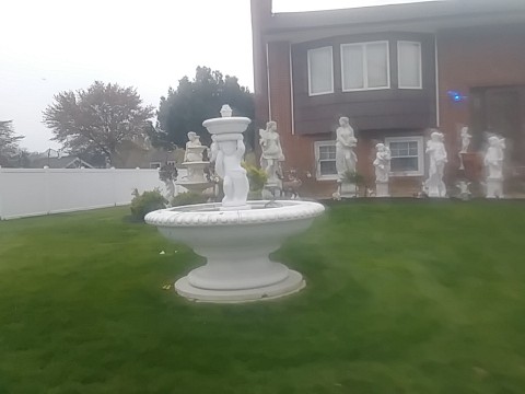 IMG_20200415_065537.jpg