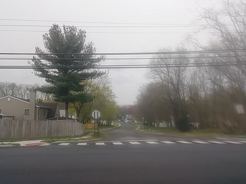 IMG_20200415_072743.jpg