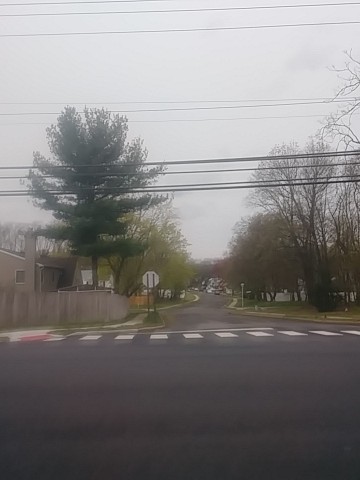 IMG_20200415_072804.jpg