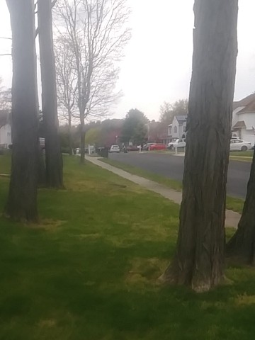 IMG_20200415_073014.jpg
