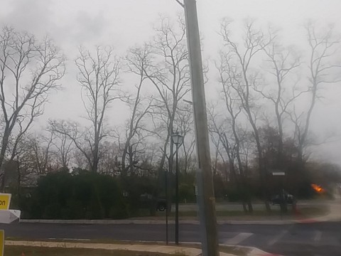 IMG_20200415_073312.jpg