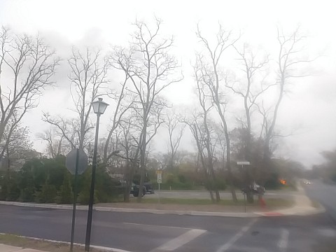IMG_20200415_073329.jpg