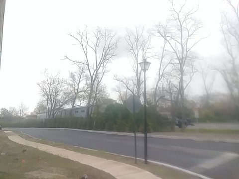 IMG_20200415_073332.jpg