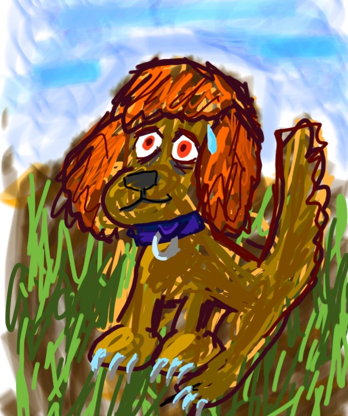 scared little dog.jpg
