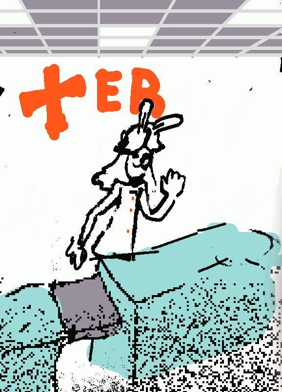 13.gif