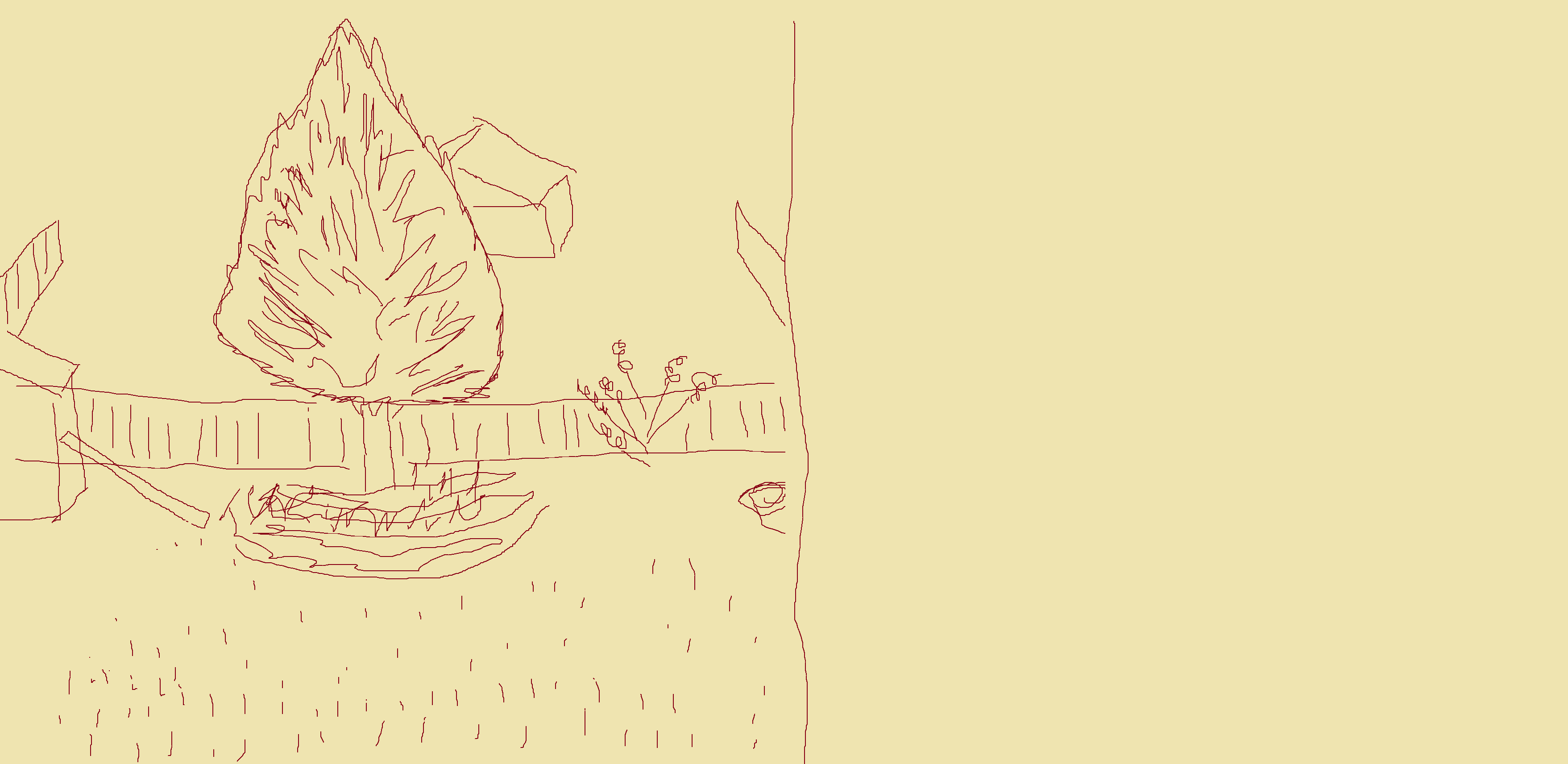 backyard.png
